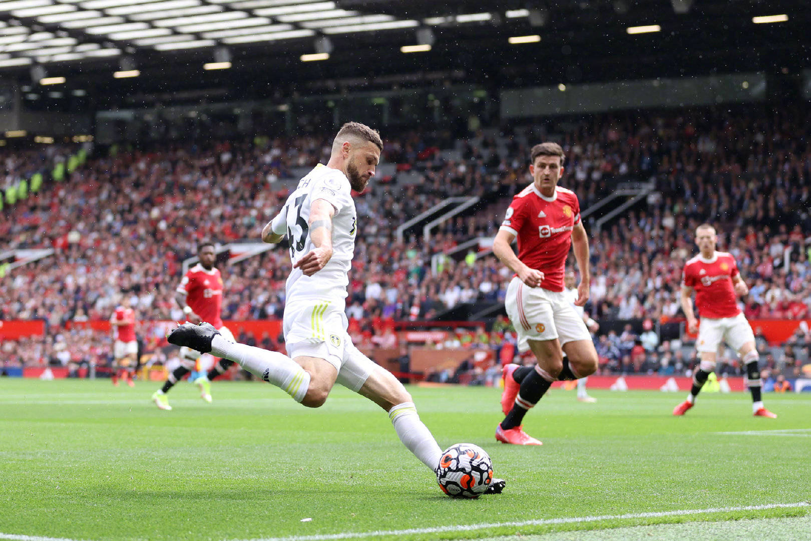 能的人才 能的人才